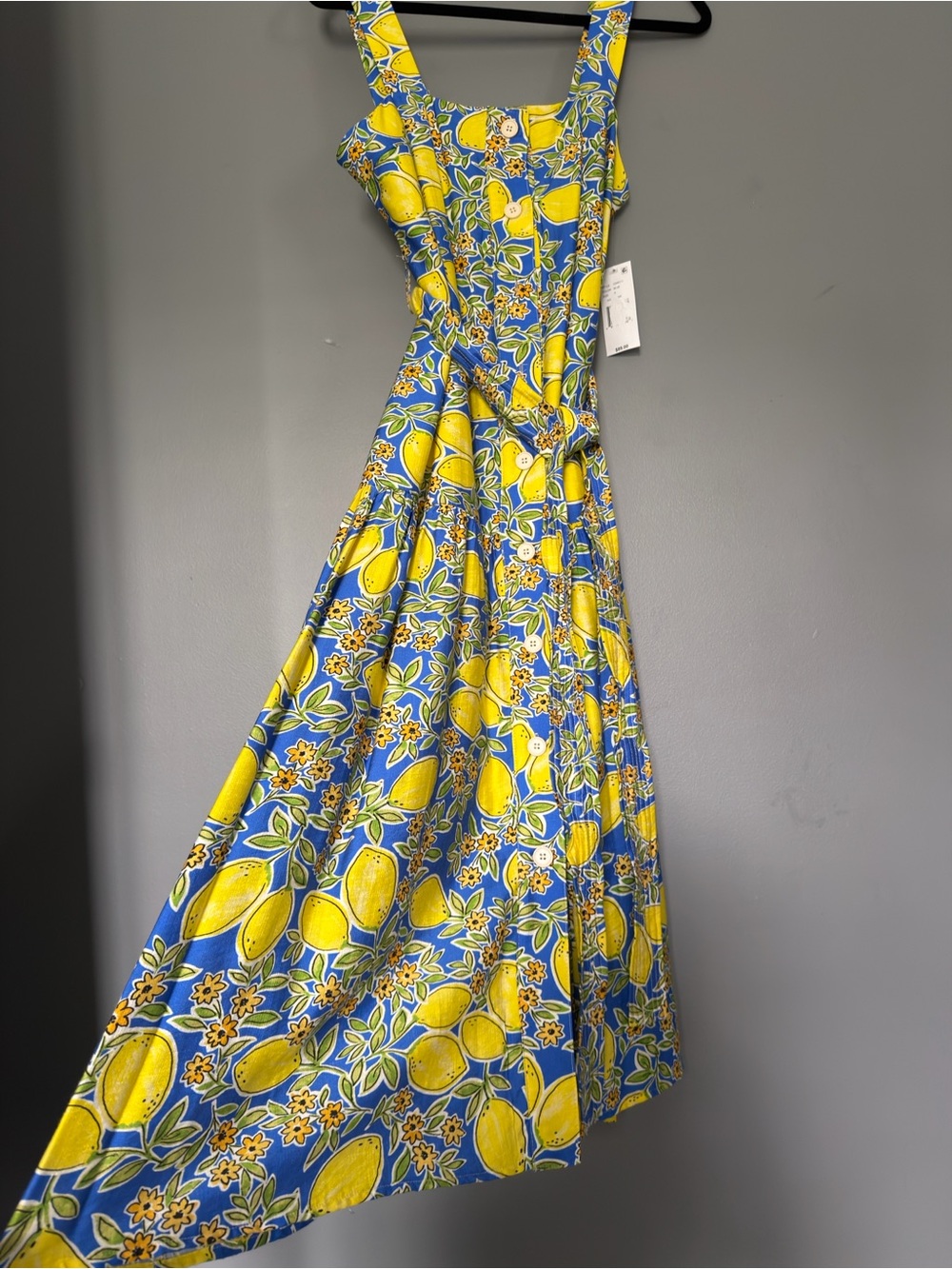 TCEC Blue and Yellow Lemon-Print Maxi Dress